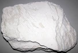 Diatomaceous Earth