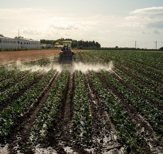 Pesticides